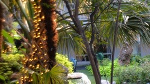 5400 Live Oak - LE PARC Courtyard TeePee Lounger